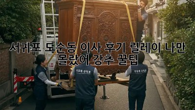🏡 서귀포 도순동 이사 후기 릴레이! 나만 몰랐어? #강추 #꿀팁